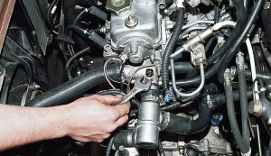 Как проверить ДТОЖ 