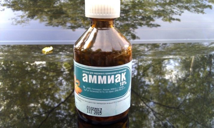 бутылка аммиака